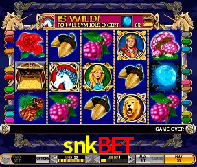 Descubra o Mundo do Cassino Online com snkbet